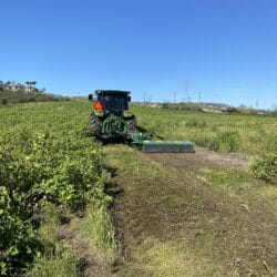 Peruzzo_bull-cross-mower