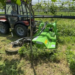 Peruzzo_bull-reverse-