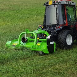 Peruzzo_bull-reverse-3