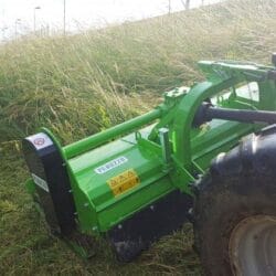 Peruzzo_bull-reverse-agricultural-area