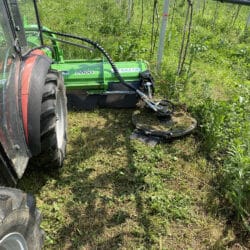 Peruzzo_bull-reverse-grass-shredding