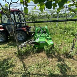 Peruzzo_bull-reverse-orchards-maintenance