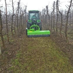 Peruzzo_bull-super-orchards-shredding-scaled