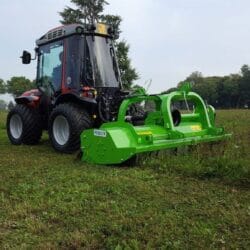 Peruzzo_bullreverse-uncultivated-area