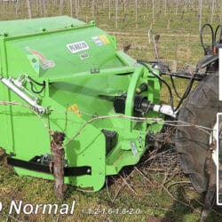 Peruzzo_canguro-normal-1600