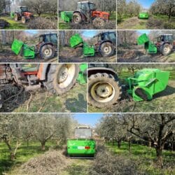 Peruzzo_canguro-normal-flailmower-olive-groves