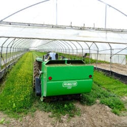 Peruzzo_canguro-normal-greenhouse