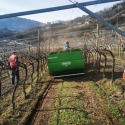 Peruzzo_canguro-normal-olive-groove-maintenance