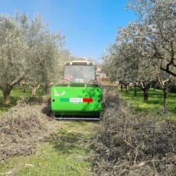 Peruzzo_canguro-normal-olive-groves-flailmower