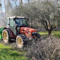 Peruzzo_canguro-normal-olive-groves-ochards-shredder