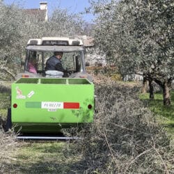 Peruzzo_canguro-normal-peruzzo