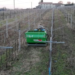 Peruzzo_canguro-pro-super-vineyards