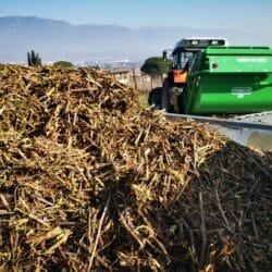 Peruzzo_canguro-professional-flail-shredder-collector