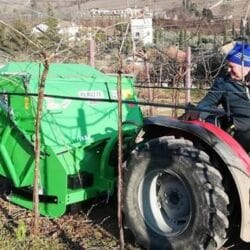 Peruzzo_canguro-professional-super-flail-mower-ochards