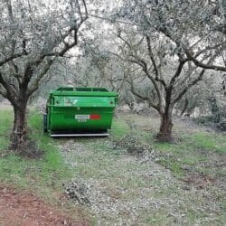 Peruzzo_canguro-professional-super-flail-mower-olive-groves