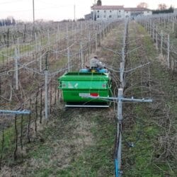 Peruzzo_canguro-professional-super-vineyards
