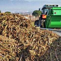 Peruzzo_canguro-professional-wood-chips