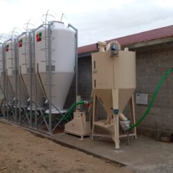 Peruzzo_de-carolis-1