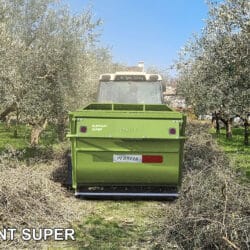 Peruzzo_elephant-flail-mower-olive-fields