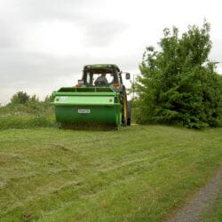 Peruzzo_elephant-grass-cutting