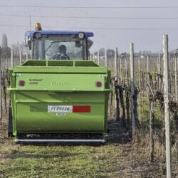 Peruzzo_elephant-mower-vineyards