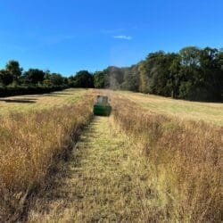 Peruzzo_elephant-super-flail-mower-agricultural-use