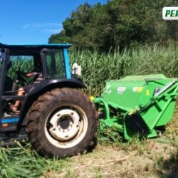 Peruzzo_elephant-super-mower-on-sugar-cain