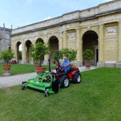 Peruzzo_elk-grass-cutting