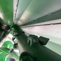 Peruzzo_flail-bull-cross