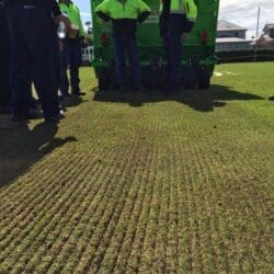 Peruzzo_flail-sweeper-mower-tiger