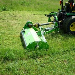 Peruzzo_fox-cross-green-area