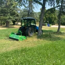 Peruzzo_fox-s-park-mulching