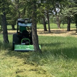 Peruzzo_foxs-mulcher