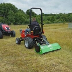 Peruzzo_frog-uncultivated-green-areas