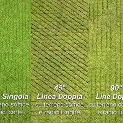 Peruzzo_grass-cut-single-duble-line