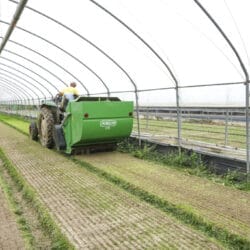 Peruzzo_greenhouse-flail-mower-canguro-normal
