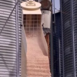 Peruzzo_hammer-mill-700universal-cereal-grinding