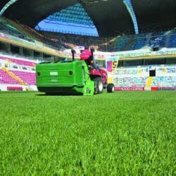 Peruzzo_koala-collector-sport-fileds