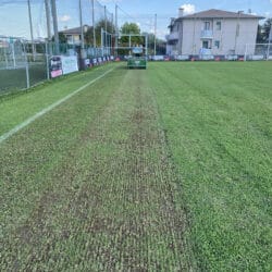 Peruzzo_koala-football-fileds-maintenance