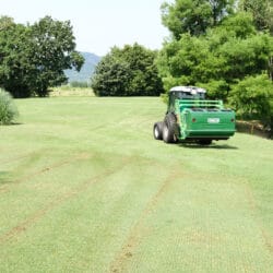 Peruzzo_koala-green-parks-maintenance