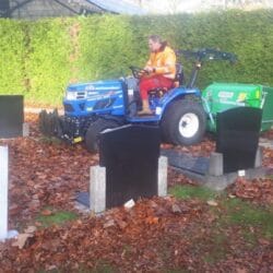 Peruzzo_koala-leaf-collection