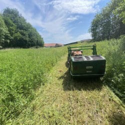 Peruzzo_koala-mower-uncultivated-green-area-collector