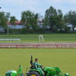 Peruzzo_koala-professional-field-maintenance