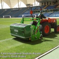 Peruzzo_koala-professional-saudi-arabia-sport-field