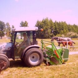 Peruzzo_koala-professionals-riding-schools