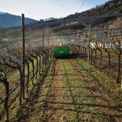 Peruzzo_ochard-maintenance-cangro-normal-mower