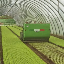 Peruzzo_panther-flail-mower-greenhouse