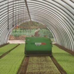 Peruzzo_panther-flail-mower-greenhouses