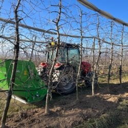 Peruzzo_panther-flailmower-ochards