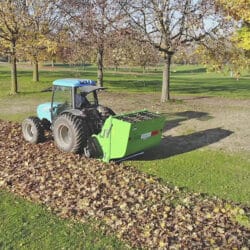 Peruzzo_panther-leaf-collection